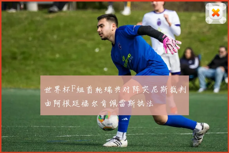 世界杯F组首轮瑞典对阵突尼斯裁判由阿根廷福尔肯佩雷斯执法
